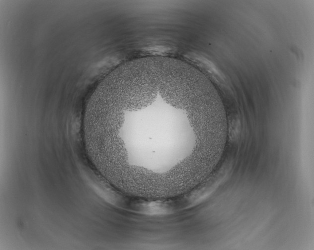 X0000111850365200907231433