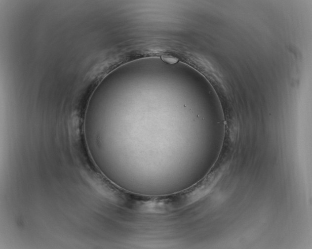 X0000111850366200907231433
