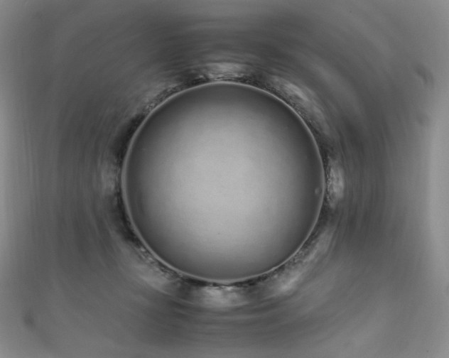 X0000111850367200907231433