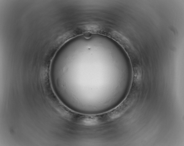 X0000111850369200907231433