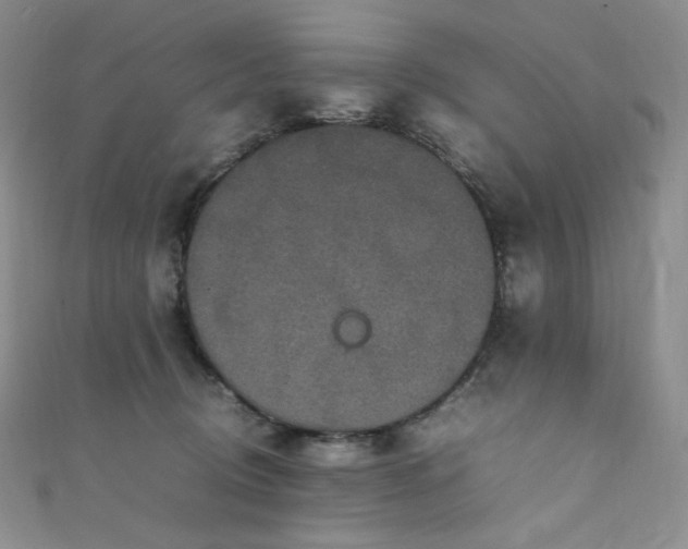 X0000111850370200907231433