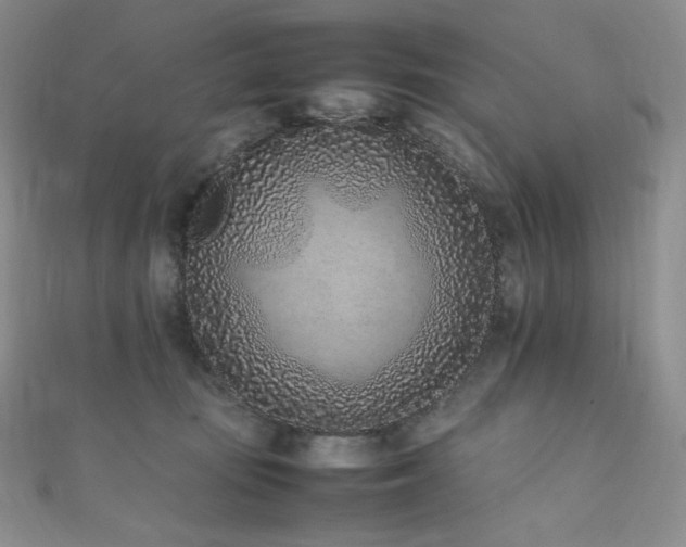 X0000111850371200907231433