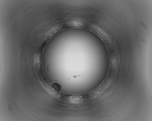 X0000111850373200907231433