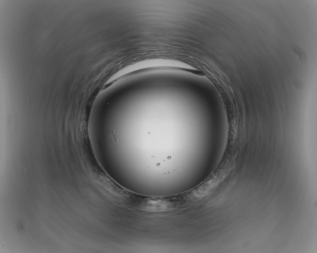 X0000111850376200907231433