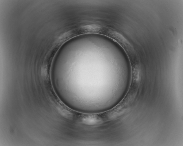X0000111850377200907231433
