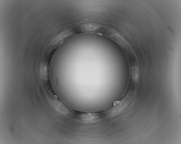 X0000111850378200907231433
