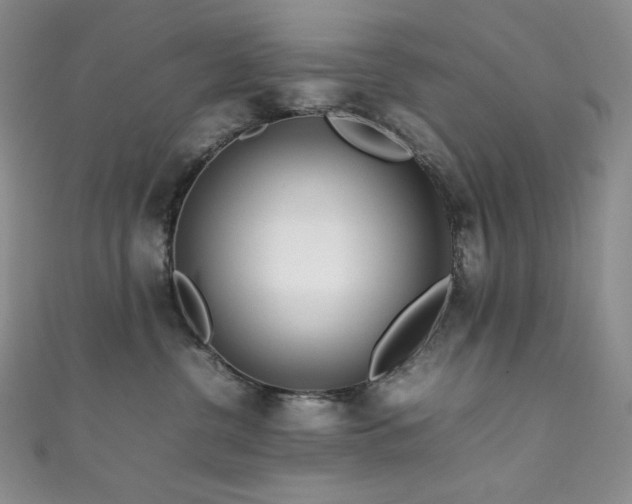 X0000111850380200907231433
