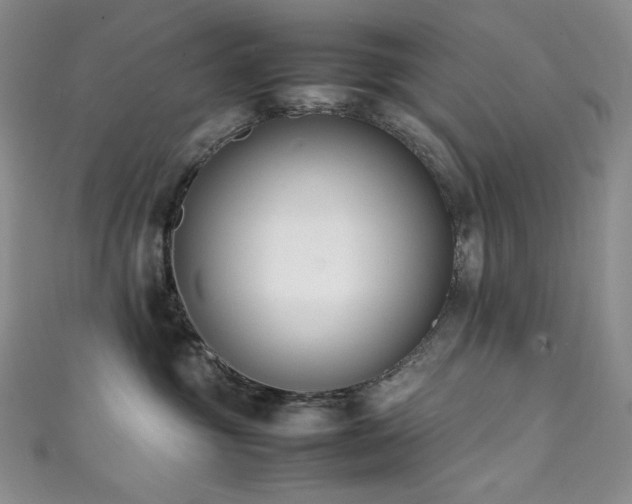 X0000111850381200907231433