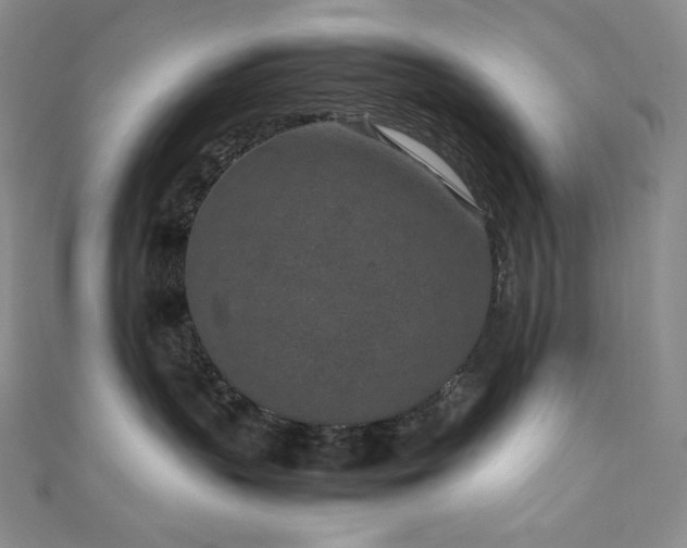 X0000111850383200907231433
