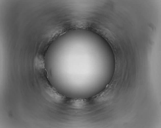 X0000111850384200907231433