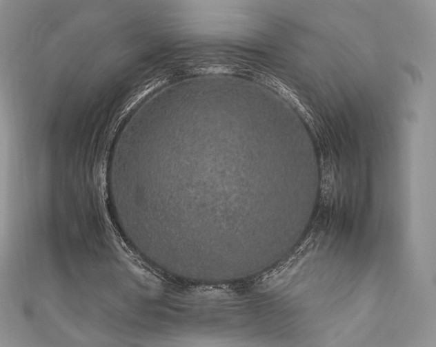 X0000111850386200907231433