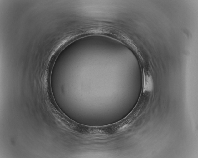 X0000111850387200907231433