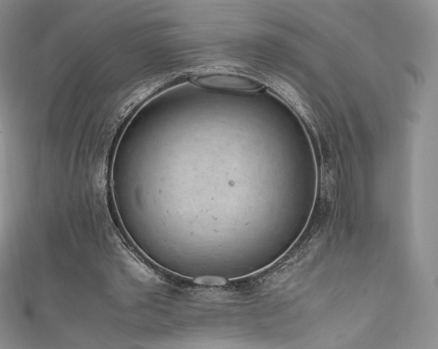 X0000111850389200907231433