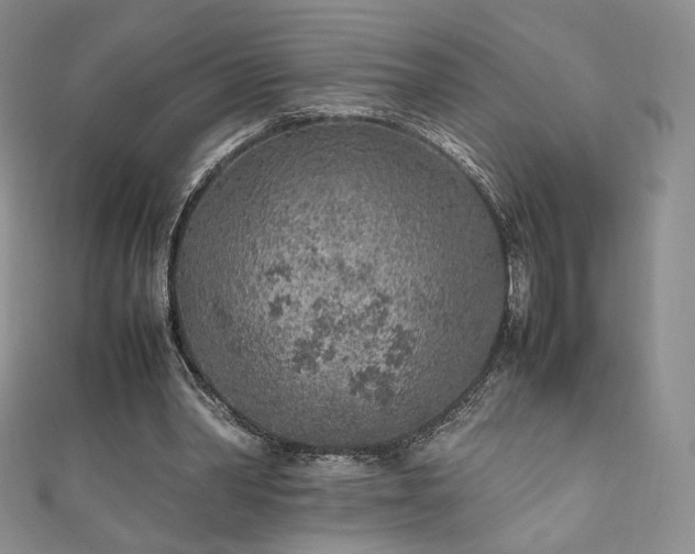 X0000111850390200907231433
