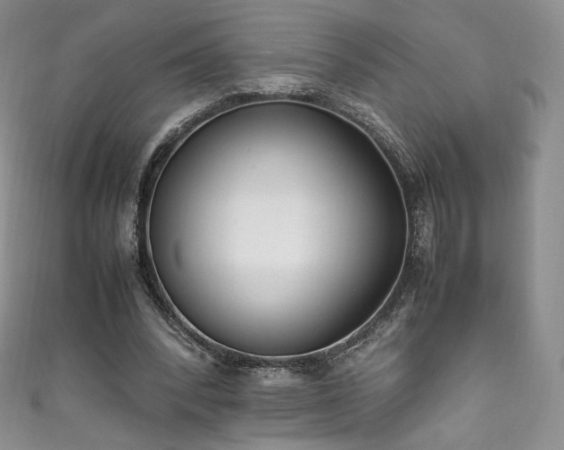 X0000111850392200907231433