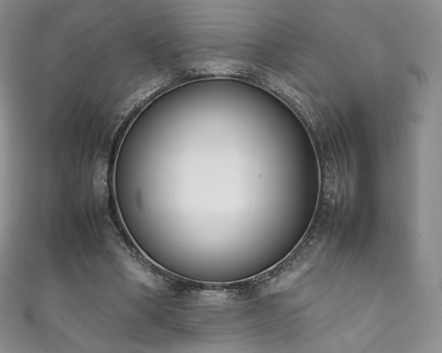 X0000111850394200907231433
