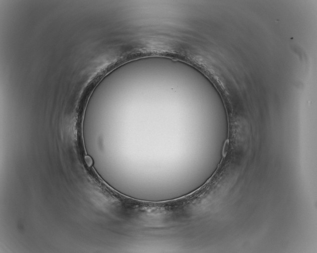 X0000111850395200907231433