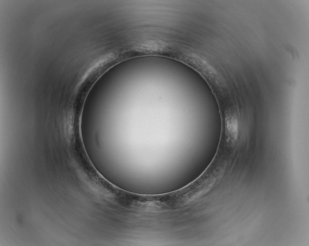 X0000111850396200907231433