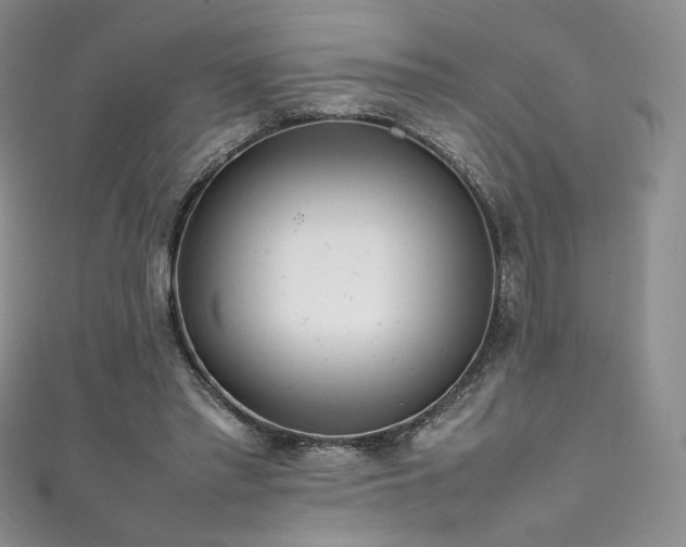 X0000111850397200907231433