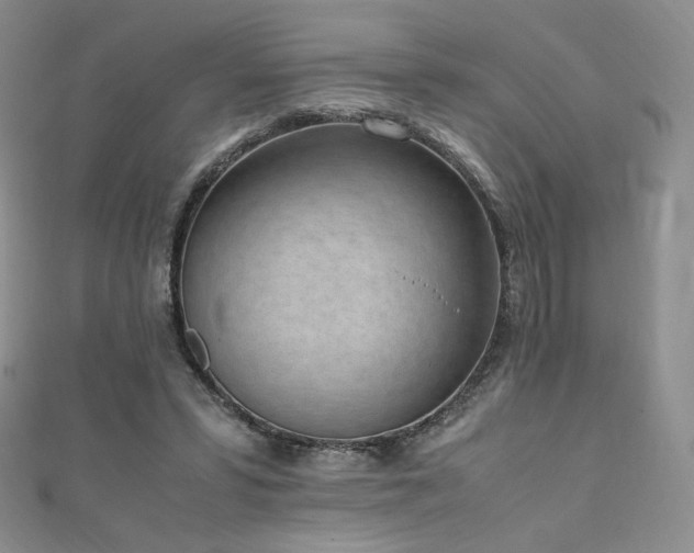 X0000111850399200907231433