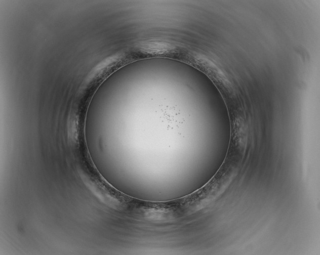X0000111850400200907231433