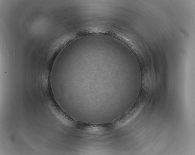 X0000111850402200907231433
