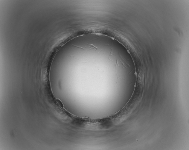 X0000111850403200907231433