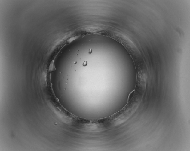 X0000111850404200907231433