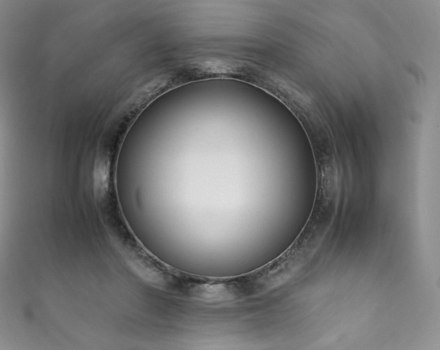 X0000111850406200907231432