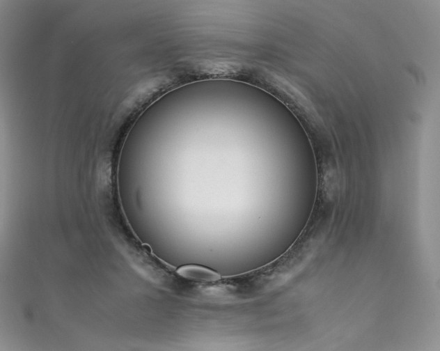 X0000111850407200907231432