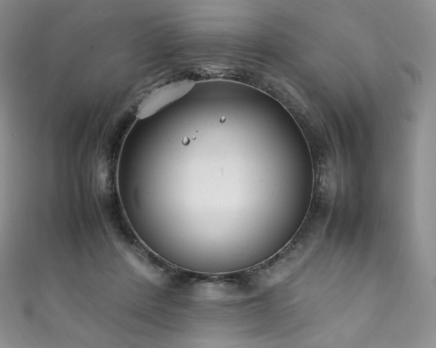 X0000111850408200907231432