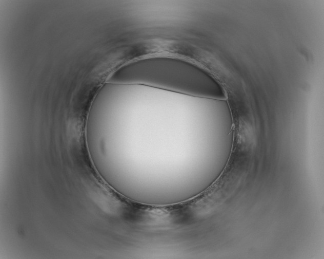 X0000111850409200907231432