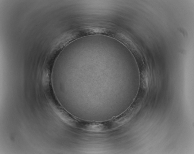 X0000111850410200907231432