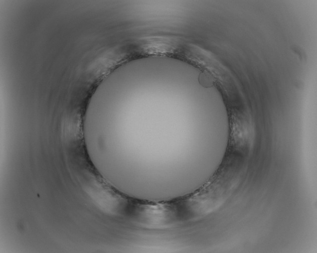 X0000111850411200907231432