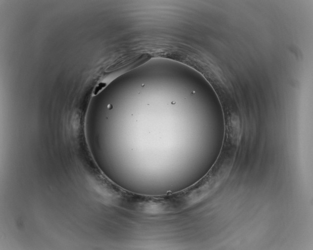 X0000111850412200907231432