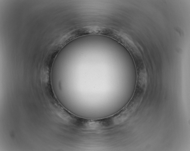 X0000111850413200907231432