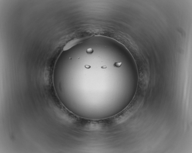 X0000111850416200907231432
