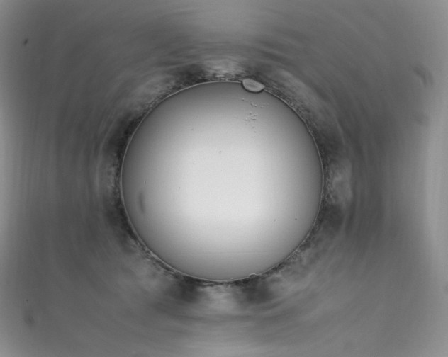 X0000111850417200907231432