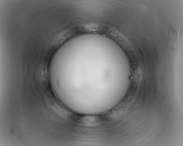X0000111850418200907231432