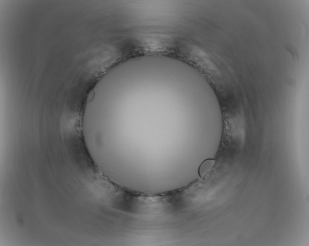 X0000111850419200907231432
