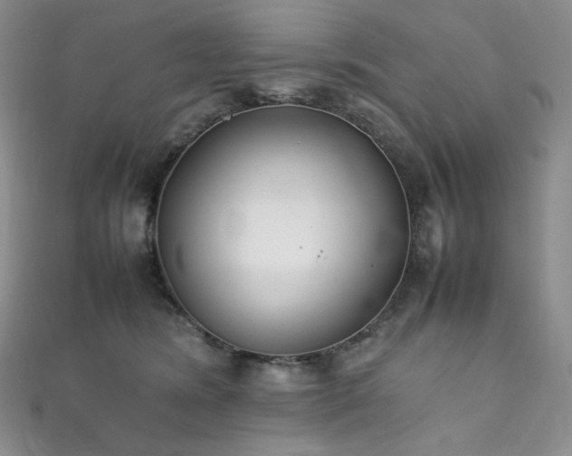 X0000111850420200907231432