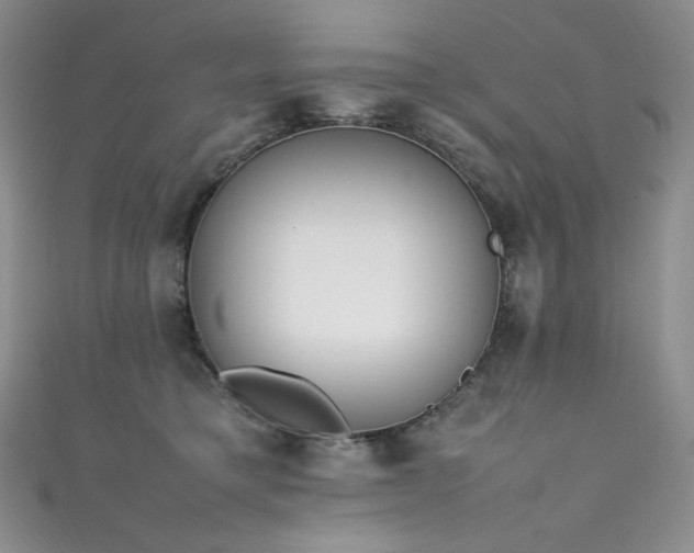 X0000111850421200907231432
