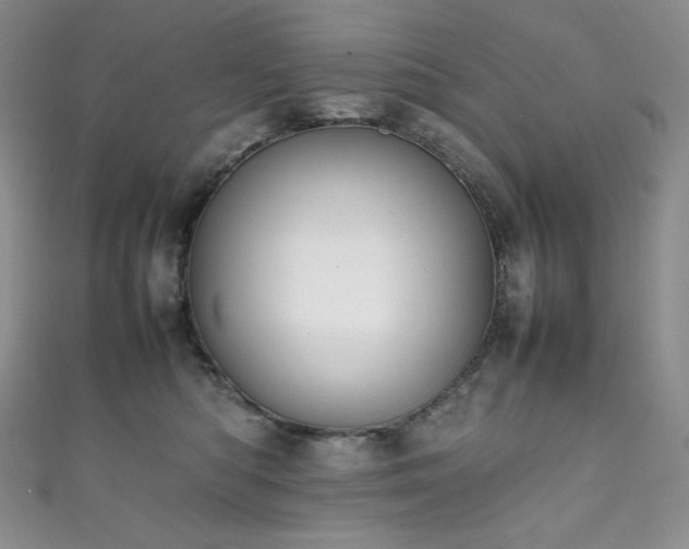 X0000111850422200907231432