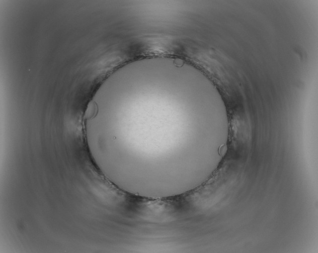 X0000111850423200907231432