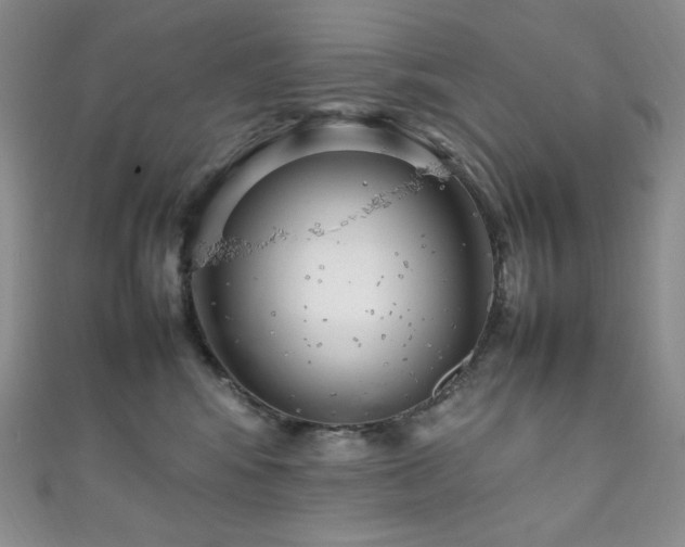 X0000111850424200907231432