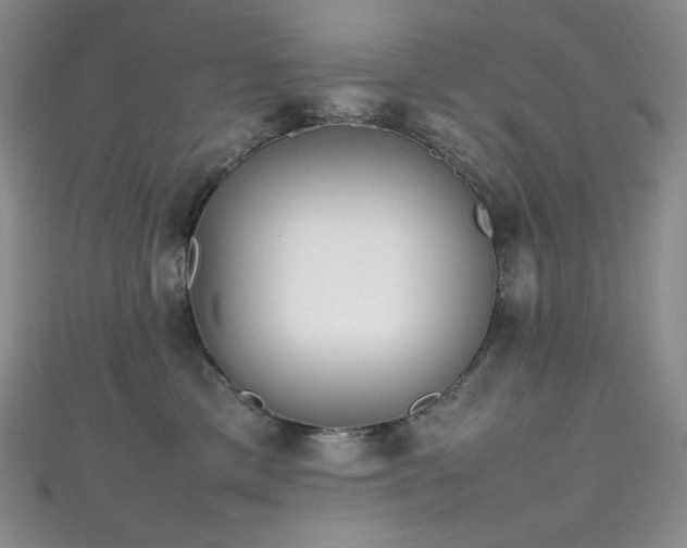 X0000111850425200907231432