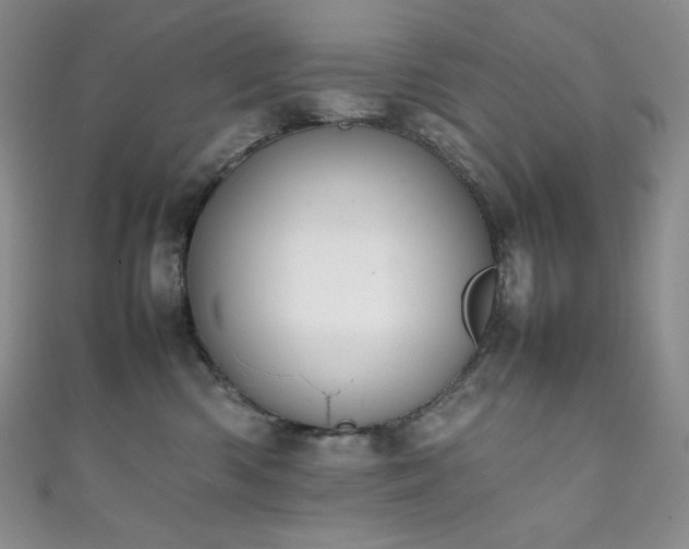 X0000111850426200907231432