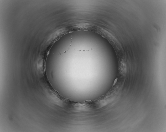 X0000111850428200907231432