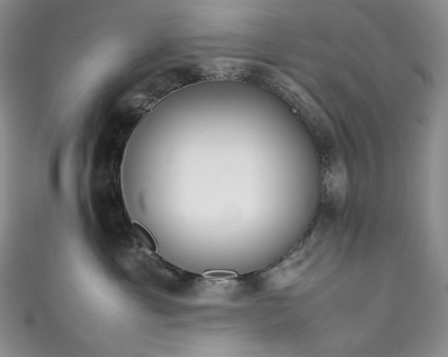 X0000111850429200907231432