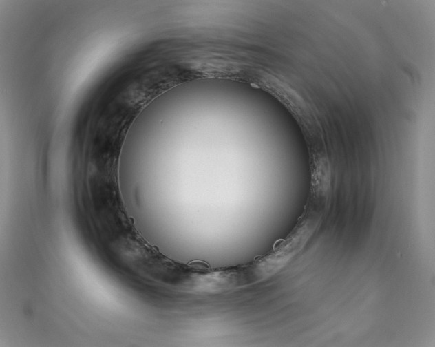 X0000111850430200907231432